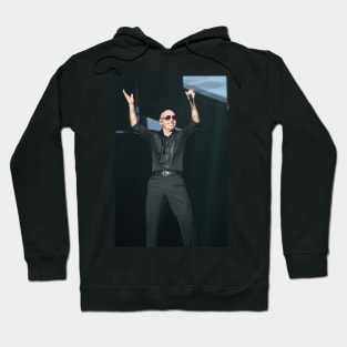 Pitbull Photograph Hoodie